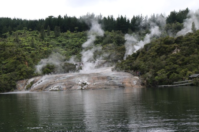 The geo-thermal system of the NZ island(s) is amazing!