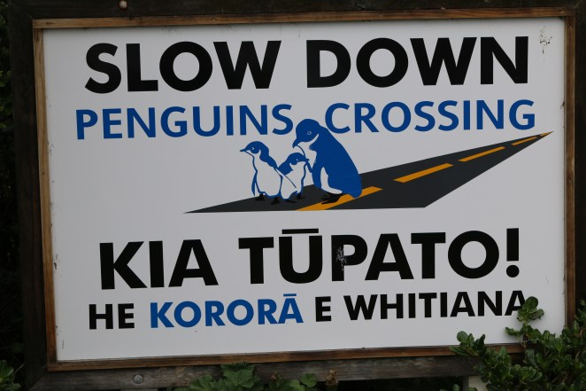 Have you ever seen one of these in your country?